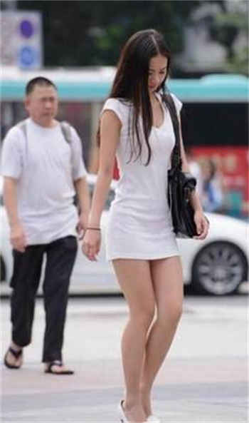秘书木鱼马