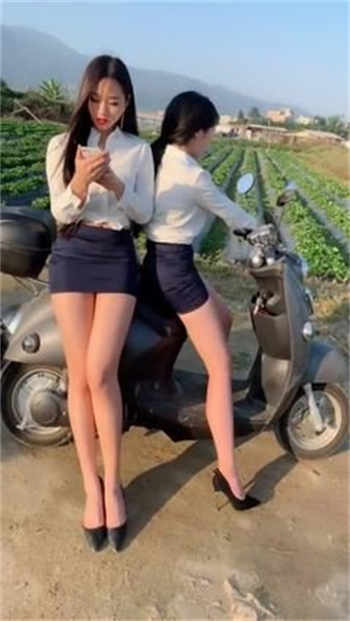 小太阳贼付费视频