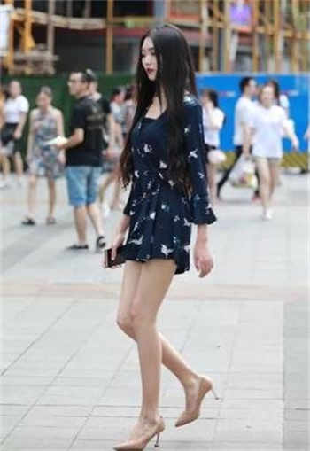 雏鸟短视频下载安装