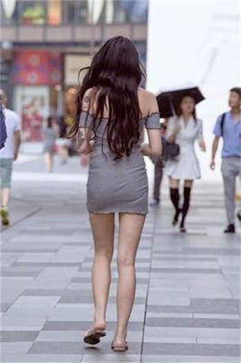 狗司令太子jk