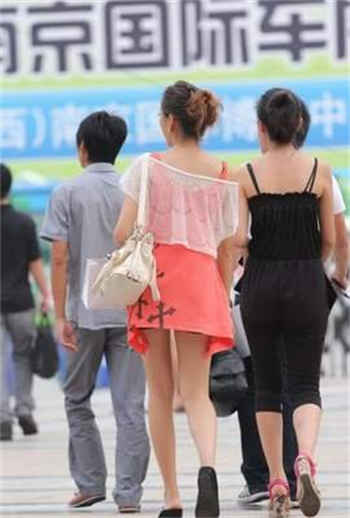大佬们追着让我c翻海棠