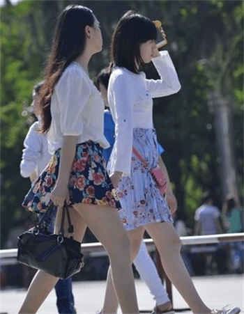 《公主的love生活》樱花