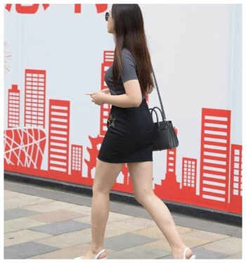 猫咪maomi在线观看软件