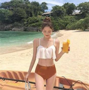 烧书阁全目录